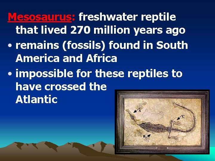 Mesosaurus: freshwater reptile that lived 270 million years ago • remains (fossils) found in