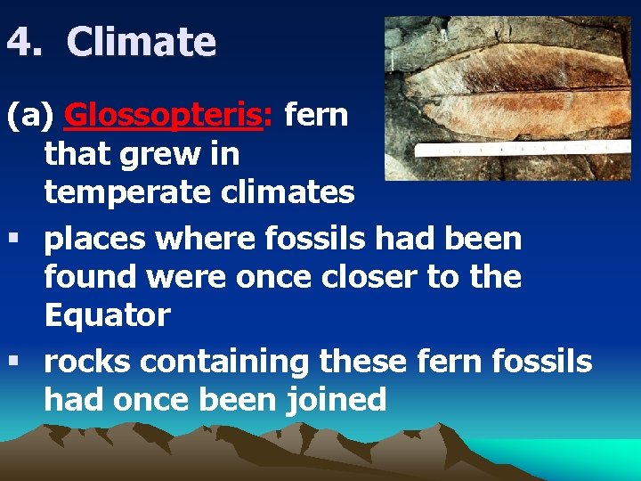4. Climate (a) Glossopteris: fern that grew in temperate climates § places where fossils