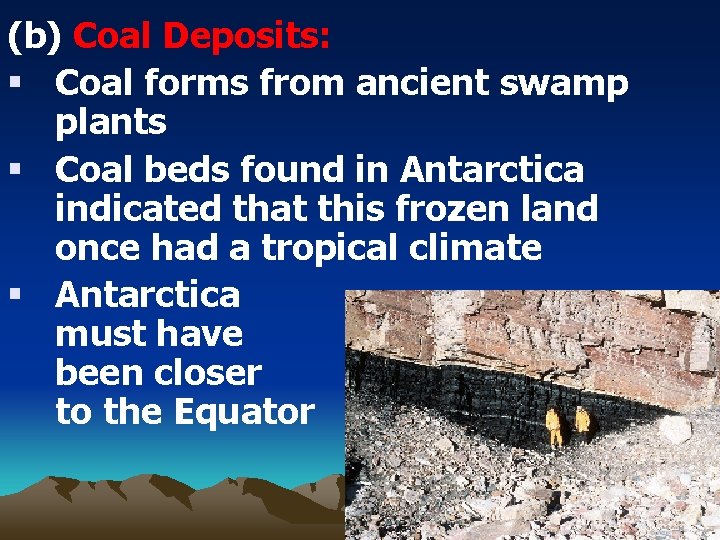 (b) Coal Deposits: § Coal forms from ancient swamp plants § Coal beds found