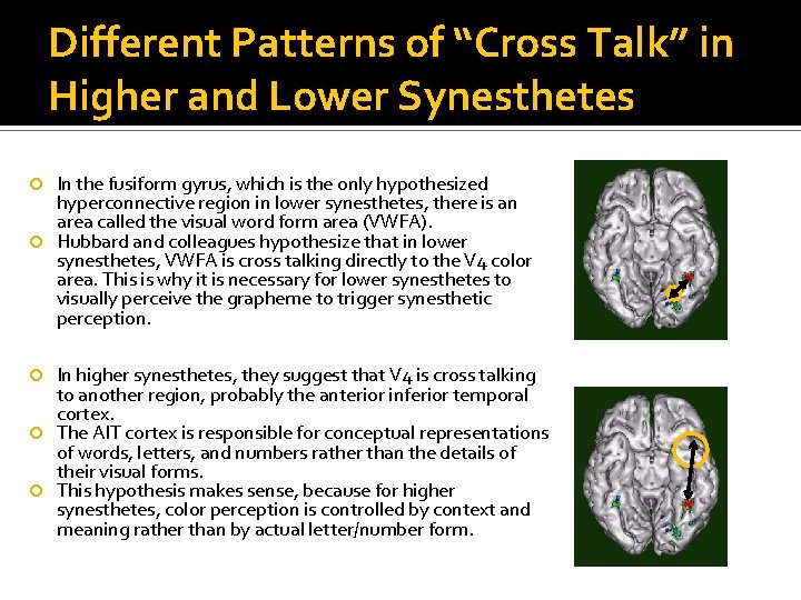 Different Patterns of “Cross Talk” in Higher and Lower Synesthetes In the fusiform gyrus,