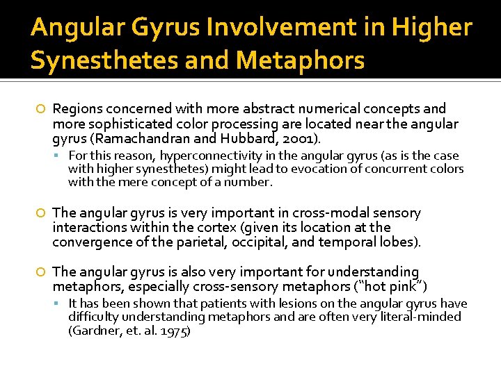 Angular Gyrus Involvement in Higher Synesthetes and Metaphors Regions concerned with more abstract numerical