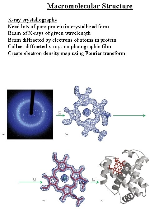 Macromolecular Structure X-ray crystallography Need lots of pure protein in crystallized form Beam of