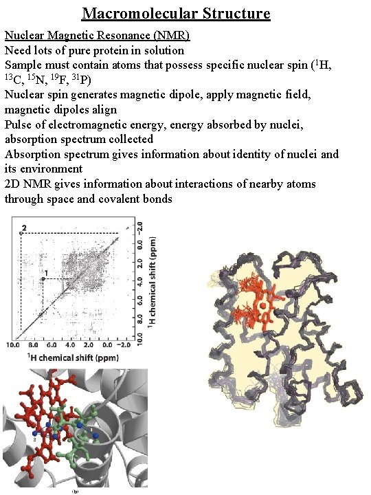 Macromolecular Structure Nuclear Magnetic Resonance (NMR) Need lots of pure protein in solution Sample