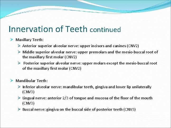 Innervation of Teeth continued Ø Maxillary Teeth: Ø Anterior superior alveolar nerve: upper incisors