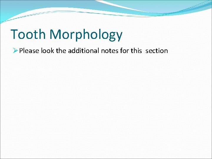 Tooth Morphology Ø Please look the additional notes for this section 