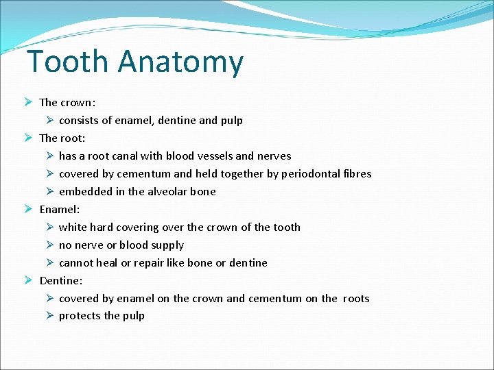 Tooth Anatomy Ø The crown: Ø consists of enamel, dentine and pulp Ø The