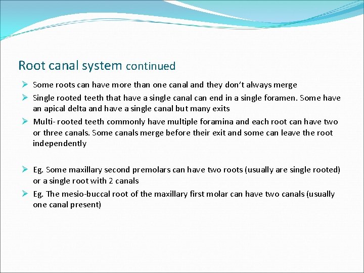 Root canal system continued Ø Some roots can have more than one canal and