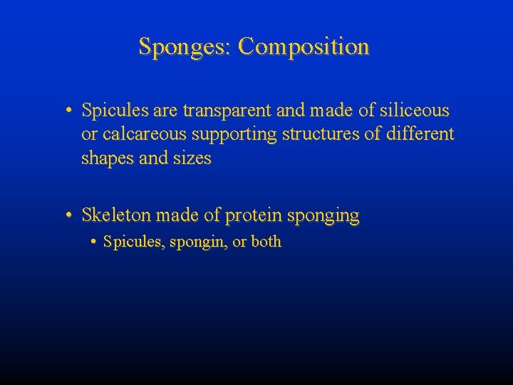 Sponges: Composition • Spicules are transparent and made of siliceous or calcareous supporting structures