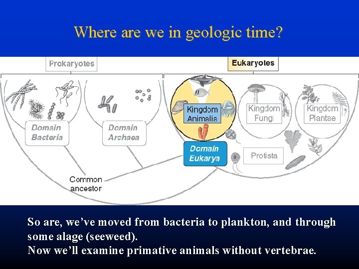 Where are we in geologic time? So are, we’ve moved from bacteria to plankton,