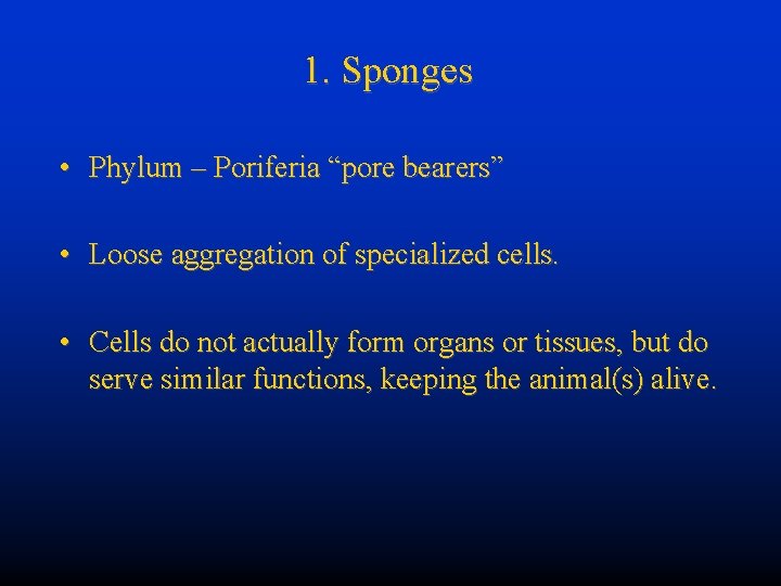 1. Sponges • Phylum – Poriferia “pore bearers” • Loose aggregation of specialized cells.