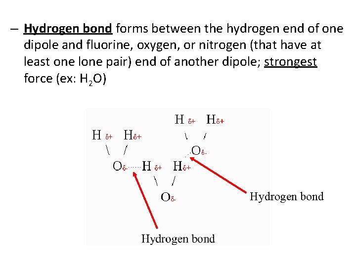 – Hydrogen bond forms between the hydrogen end of one dipole and fluorine, oxygen,