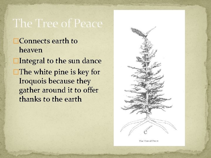 The Tree of Peace �Connects earth to heaven �Integral to the sun dance �The