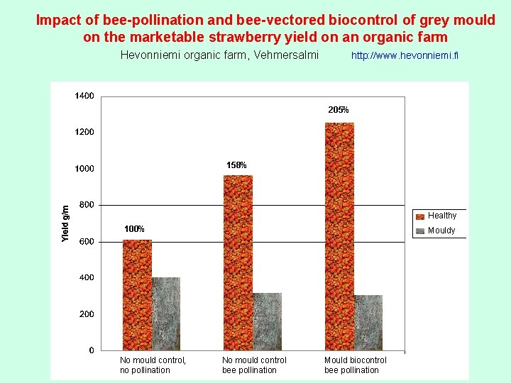 Impact of bee-pollination and bee-vectored biocontrol of grey mould on the marketable strawberry yield