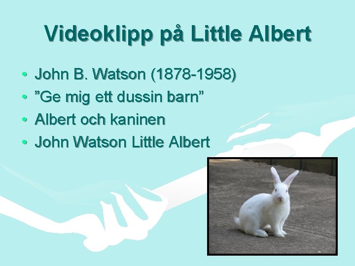 Videoklipp på Little Albert • • John B. Watson (1878 -1958) ”Ge mig ett