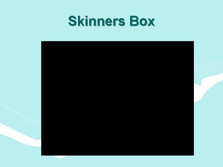 Skinners Box 