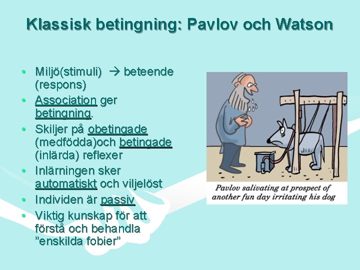 Klassisk betingning: Pavlov och Watson • Miljö(stimuli) beteende (respons) • Association ger betingning. •