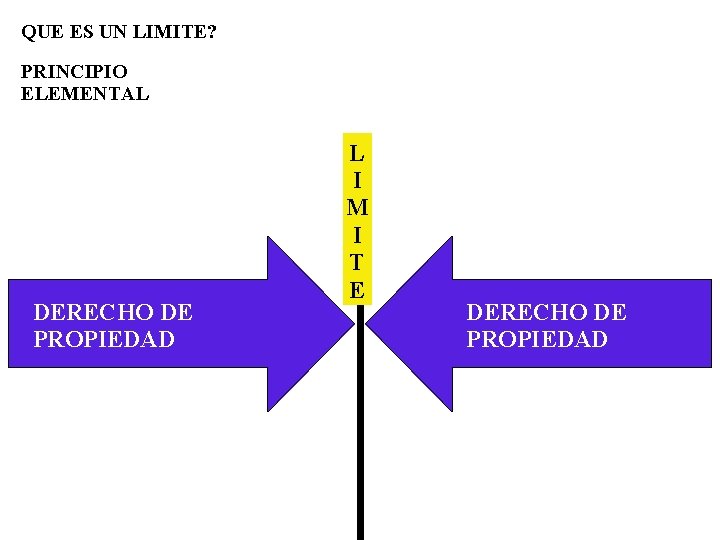 QUE ES UN LIMITE? PRINCIPIO ELEMENTAL DERECHO DE PROPIEDAD L I M I T