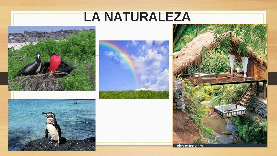 LA NATURALEZA 