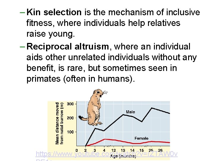 – Kin selection is the mechanism of inclusive fitness, where individuals help relatives raise