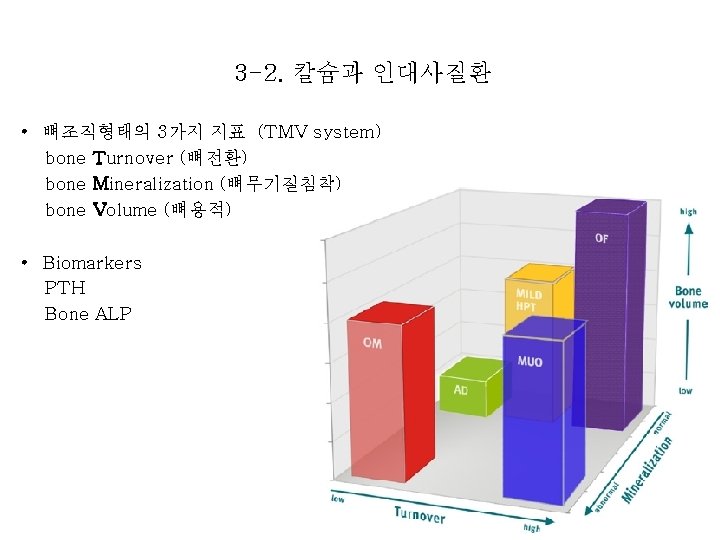 3 -2. 칼슘과 인대사질환 • 뼈조직형태의 3가지 지표 (TMV system) bone Turnover (뼈전환) bone