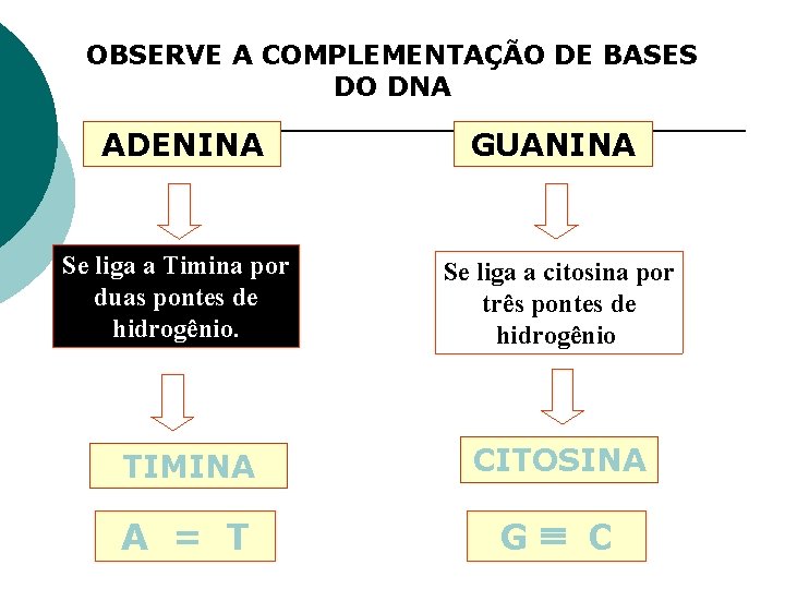 OBSERVE A COMPLEMENTAÇÃO DE BASES DO DNA ADENINA GUANINA Se liga a Timina por