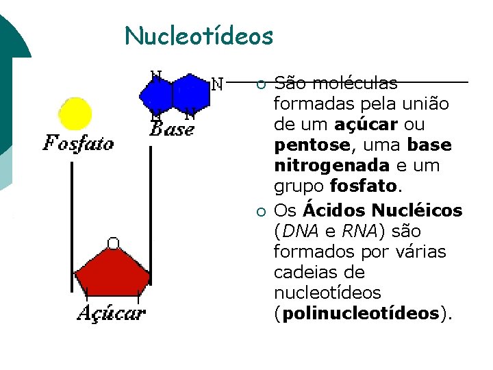 Nucleotídeos ¡ ¡ São moléculas formadas pela união de um açúcar ou pentose, uma