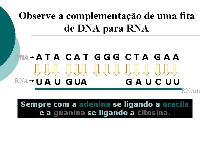 Observe a complementação de uma fita de DNA para RNA DNA ATA CAT GGG