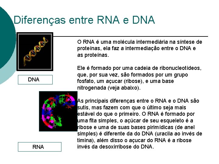 Diferenças entre RNA e DNA O RNA é uma molécula intermediária na síntese de