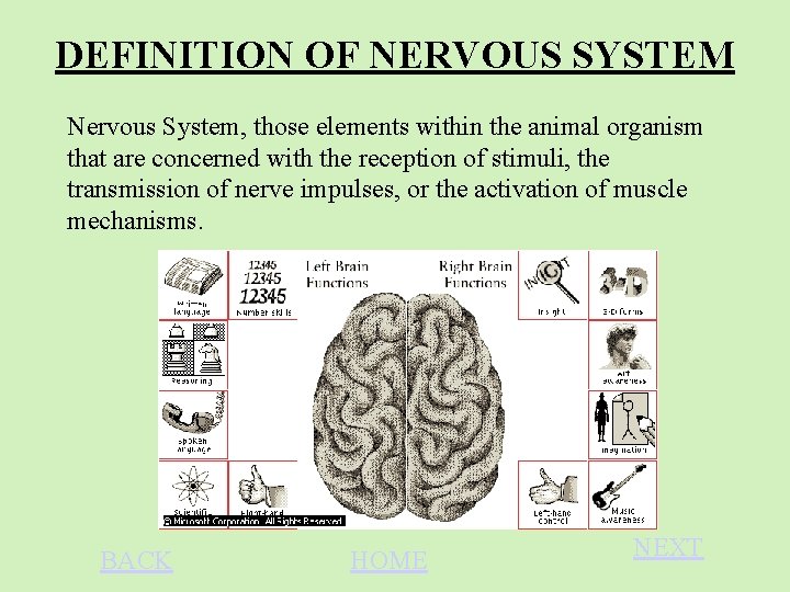 DEFINITION OF NERVOUS SYSTEM Nervous System, those elements within the animal organism that are