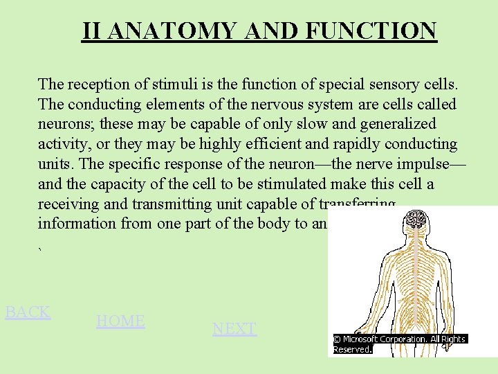 II ANATOMY AND FUNCTION The reception of stimuli is the function of special sensory