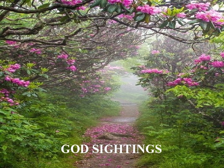 GOD SIGHTINGS 