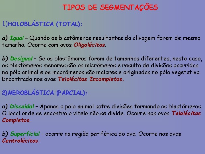 TIPOS DE SEGMENTAÇÕES 1)HOLOBLÁSTICA (TOTAL): a) Igual – Quando os blastômeros resultantes da clivagem