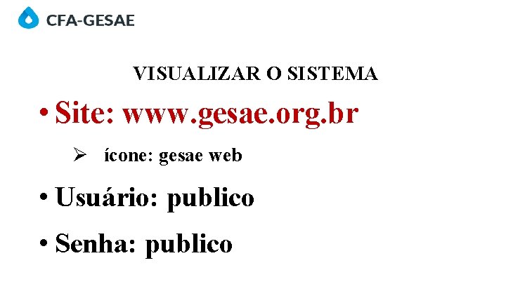 VISUALIZAR O SISTEMA • Site: www. gesae. org. br Ø ícone: gesae web •