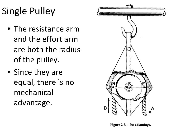 Single Pulley • The resistance arm and the effort arm are both the radius