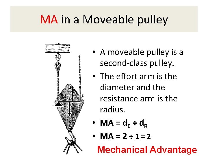 MA in a Moveable pulley • A moveable pulley is a second-class pulley. •