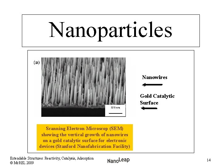 Nanoparticles Nanowires Gold Catalytic Surface Scanning Electron Microscop (SEM) showing the vertical growth of