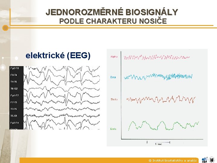 JEDNOROZMĚRNÉ BIOSIGNÁLY PODLE CHARAKTERU NOSIČE elektrické (EEG) © Institut biostatistiky a analýz 