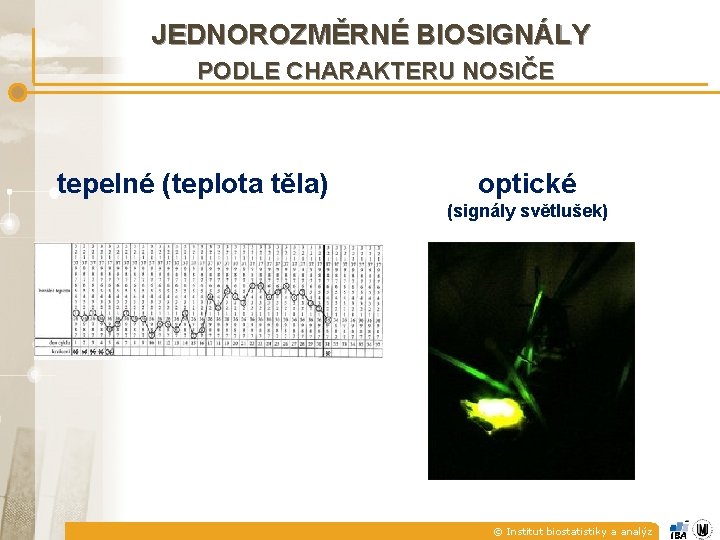 JEDNOROZMĚRNÉ BIOSIGNÁLY PODLE CHARAKTERU NOSIČE tepelné (teplota těla) optické (signály světlušek) © Institut biostatistiky