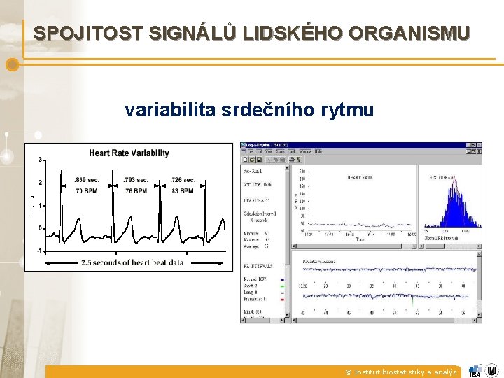 SPOJITOST SIGNÁLŮ LIDSKÉHO ORGANISMU variabilita srdečního rytmu © Institut biostatistiky a analýz 