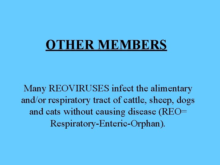 OTHER MEMBERS Many REOVIRUSES infect the alimentary and/or respiratory tract of cattle, sheep, dogs