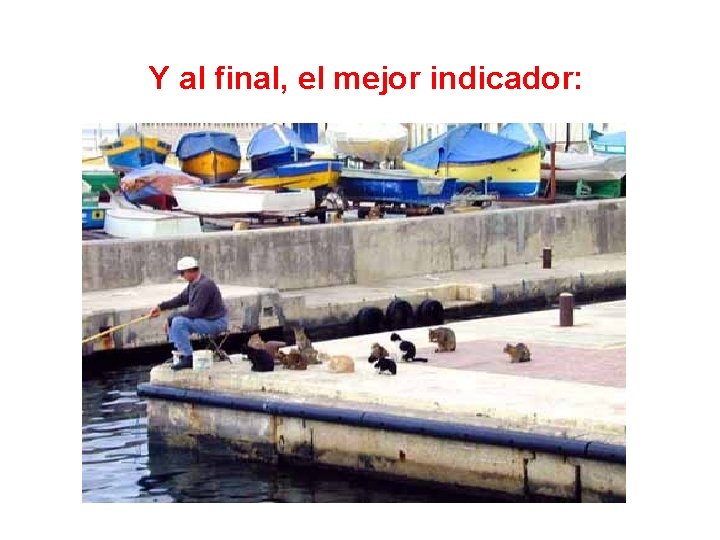 Y al final, el mejor indicador: 