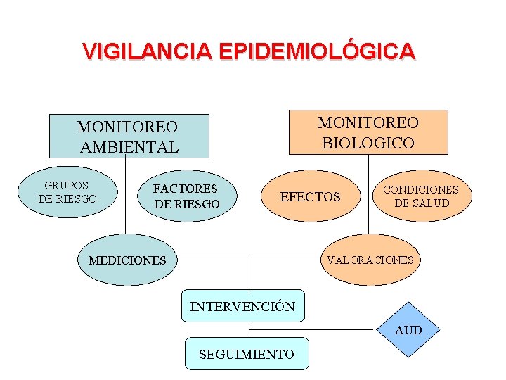 VIGILANCIA EPIDEMIOLÓGICA MONITOREO BIOLOGICO MONITOREO AMBIENTAL GRUPOS DE RIESGO FACTORES DE RIESGO EFECTOS MEDICIONES