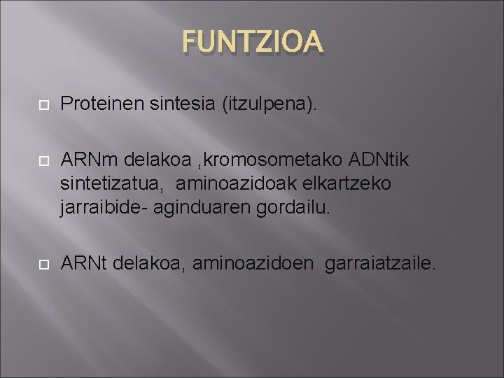 FUNTZIOA Proteinen sintesia (itzulpena). ARNm delakoa , kromosometako ADNtik sintetizatua, aminoazidoak elkartzeko jarraibide- aginduaren