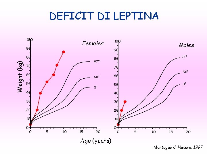 DEFICIT DI LEPTINA Weight (kg) Females 97° Males 97° 50° 3° 3° Age (years)