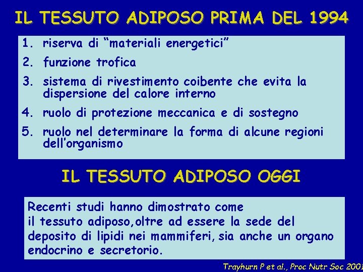 IL TESSUTO ADIPOSO PRIMA DEL 1994 1. riserva di “materiali energetici” 2. funzione trofica