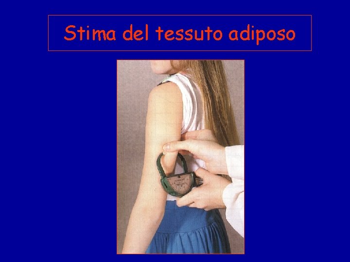 Stima del tessuto adiposo 