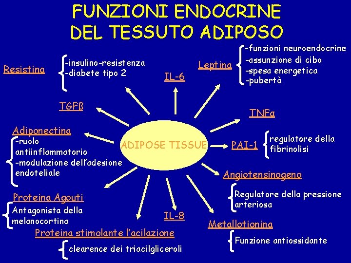 FUNZIONI ENDOCRINE DEL TESSUTO ADIPOSO Resistina -insulino-resistenza -diabete tipo 2 IL-6 Leptina TGFß -funzioni