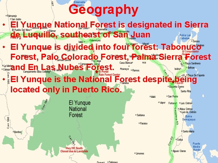 Geography • El Yunque National Forest is designated in Sierra de Luquillo, southeast of