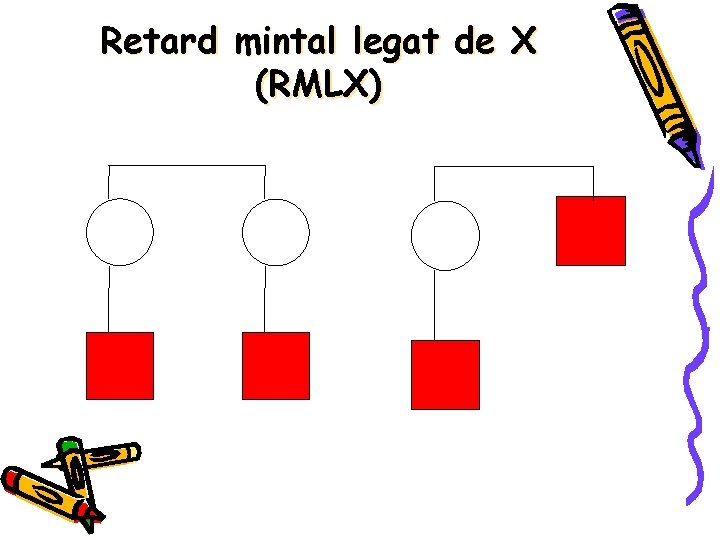 Retard mintal legat de X (RMLX) 