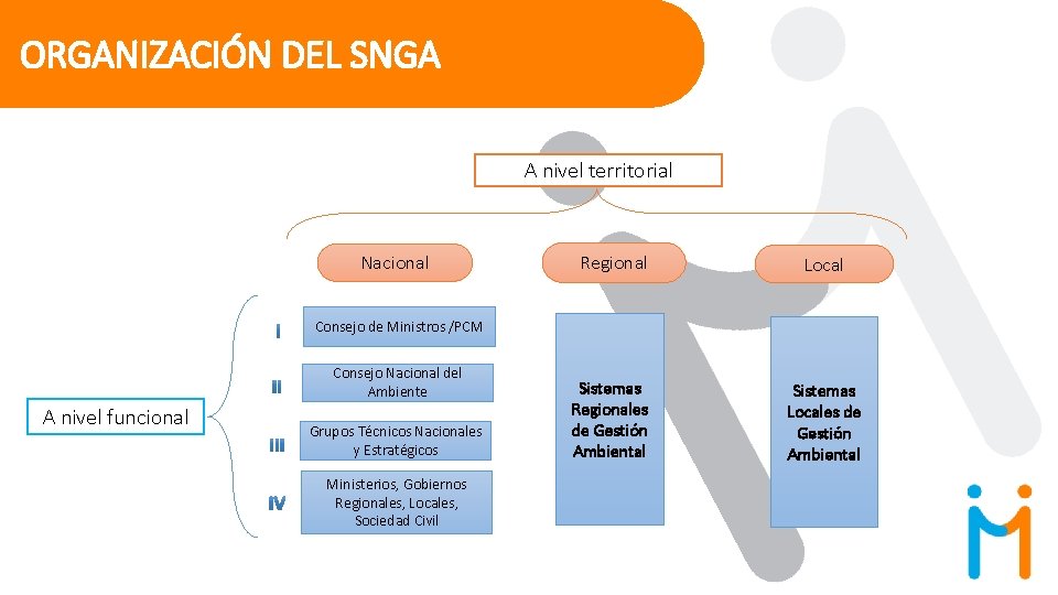 ORGANIZACIÓN DEL SNGA A nivel territorial Nacional Regional Local Sistemas Regionales de Gestión Ambiental